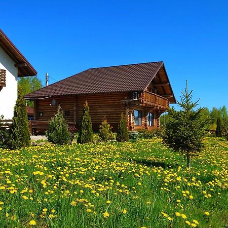 Pensiunea Lacul Mocearu Hotel Budesti  Exterior foto