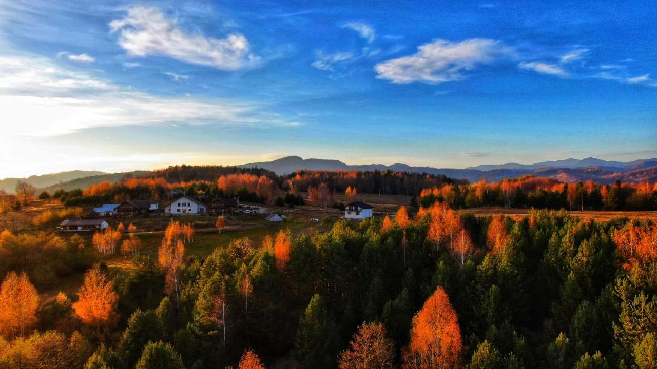 Pensiunea Lacul Mocearu Hotel Budesti  Exterior foto