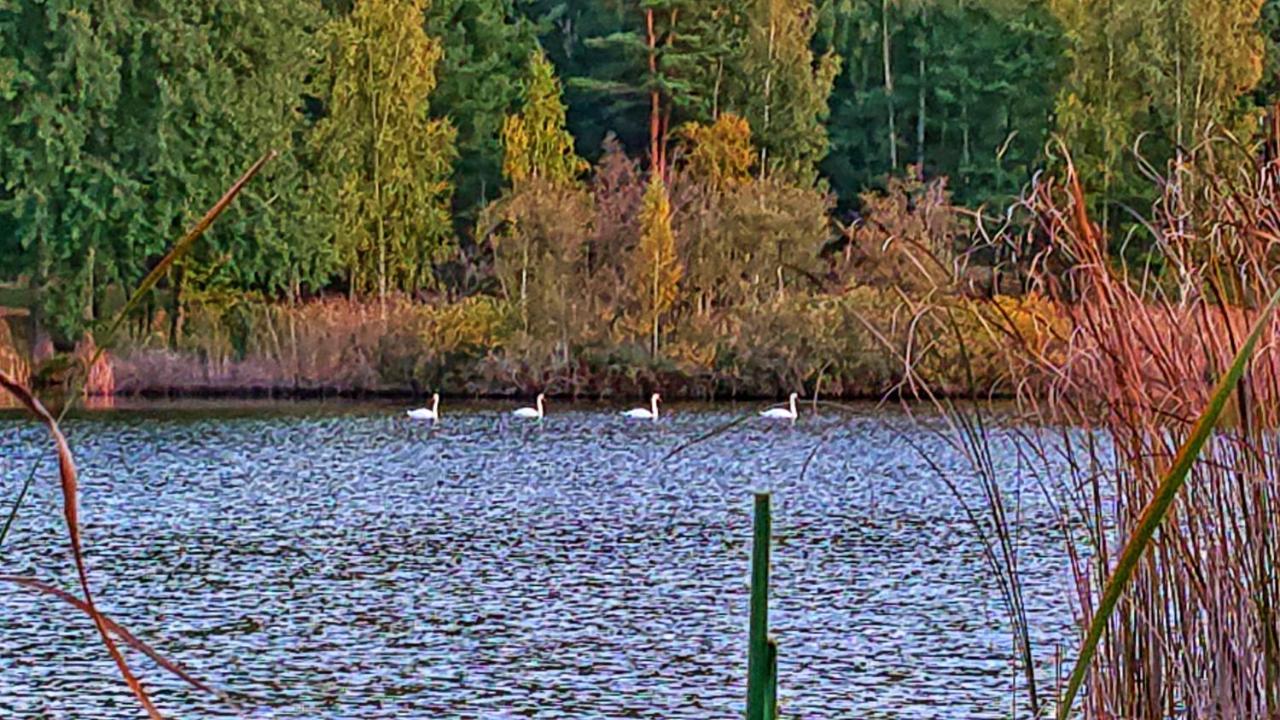 Pensiunea Lacul Mocearu Hotel Budesti  Exterior foto