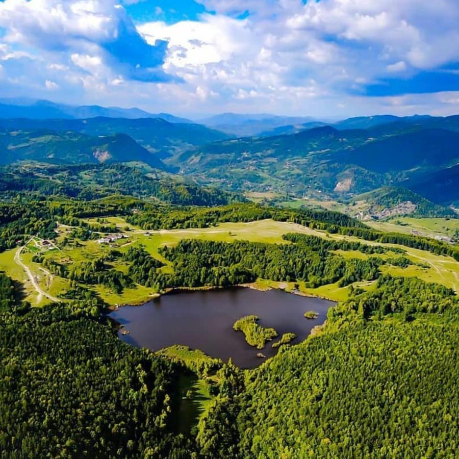 Pensiunea Lacul Mocearu Hotel Budesti  Exterior foto