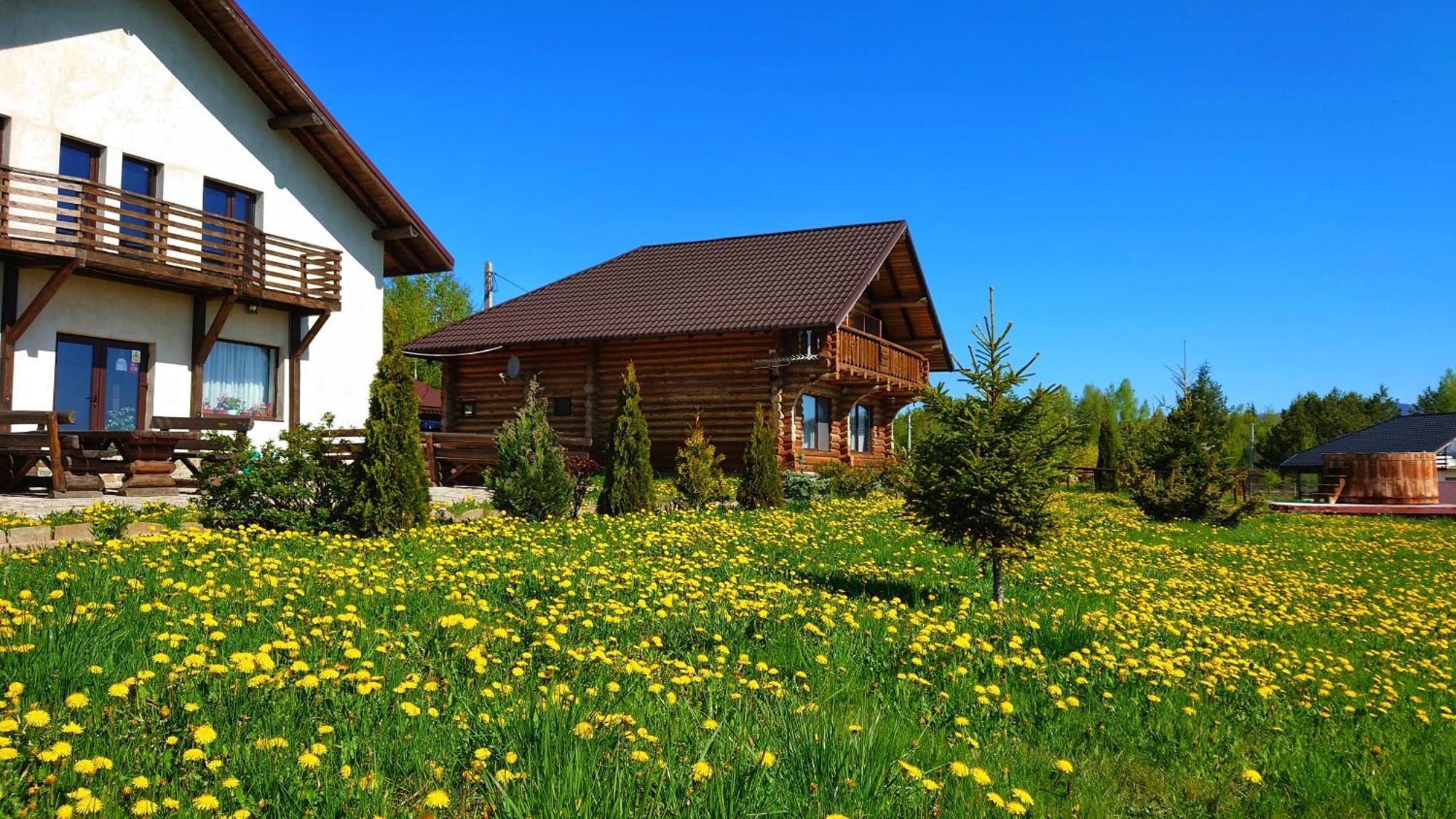 Pensiunea Lacul Mocearu Hotel Budesti  Exterior foto